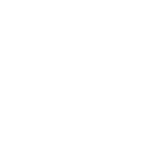 GoCode Pte Ltd – Go further with Go